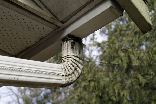 Roof Drain Replacement in Newton
