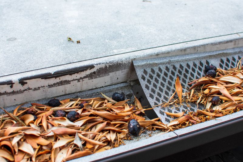 Gutter System with Leaf Guards
